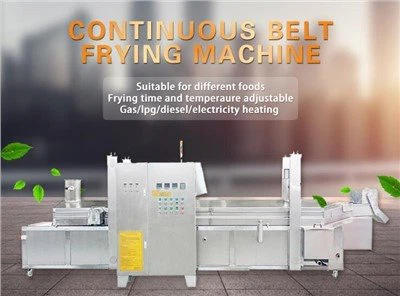 ٹارٹیلا چپس پروڈکشن لائن